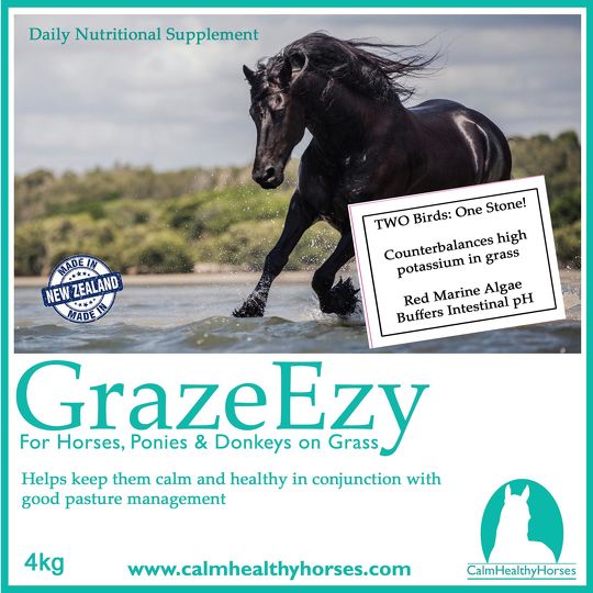 Calm Healthy Horses Graze Ezy