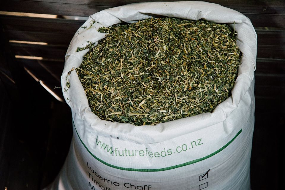 Future Feeds Lucerne Chaff 20kg