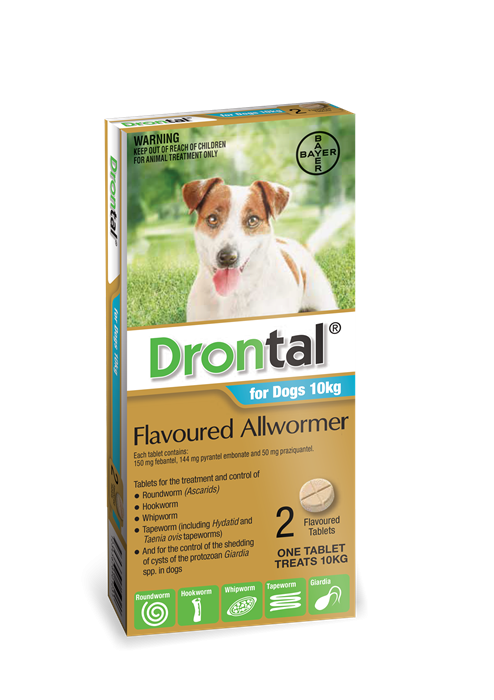 Drontal Allwormer for Dogs