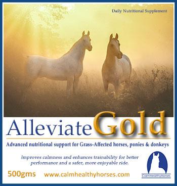 Calm Healthy Horses Alleviate Gold