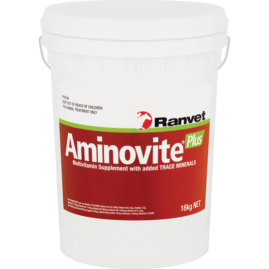 Ranvet Aminovite Plus