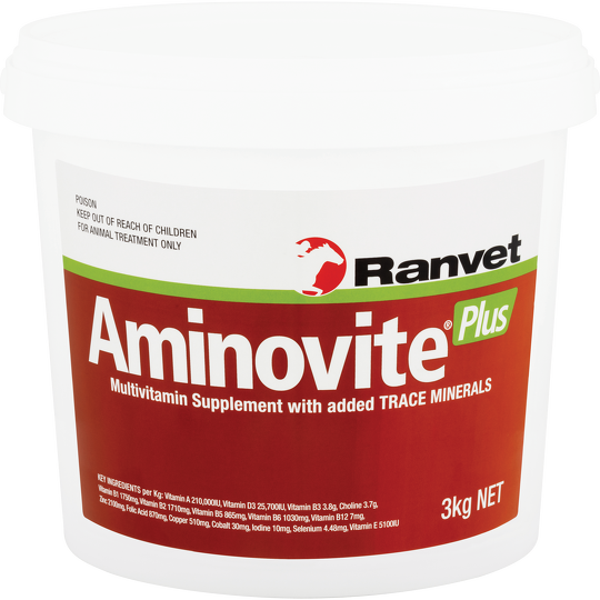 Ranvet Aminovite Plus