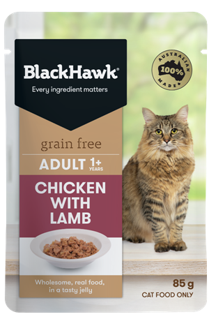 Black hawk best sale wet cat food