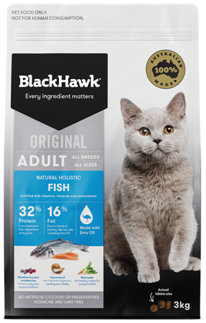 BlackHawk Cat Fish