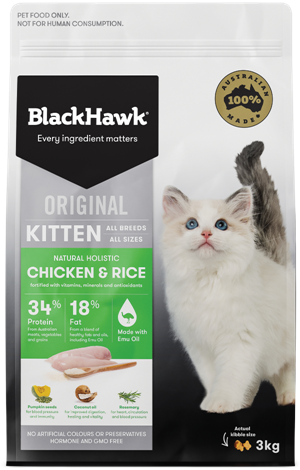 BlackHawk Kitten Chicken & Rice