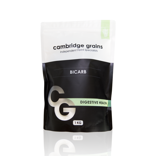 Bi Carb 1kg
