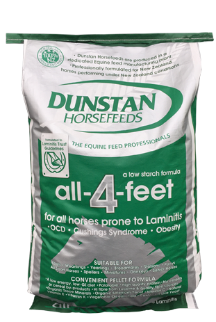 Dunstan All-4-Feet