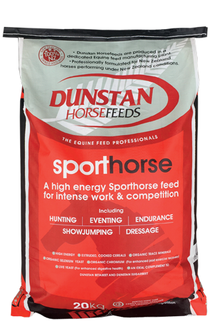 Dunstan Sport Horse