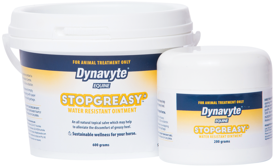 Dynavyte Stop Greasy