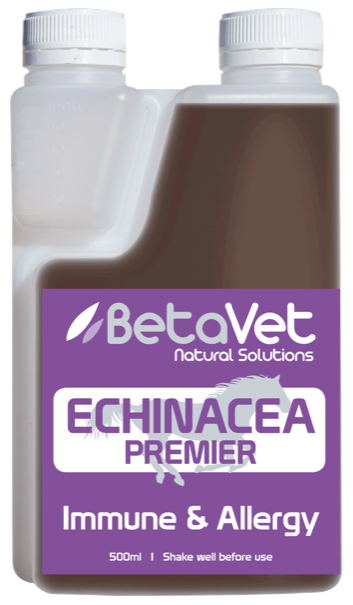 BetaVet Echinacea Premier