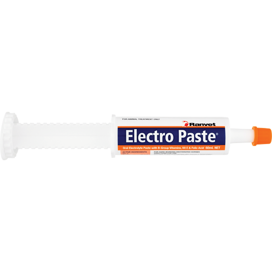 Ranvet Electro Paste