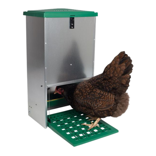 Feed O Matic Poultry Feeder