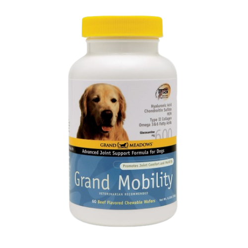 Grand Mobility for Dogs