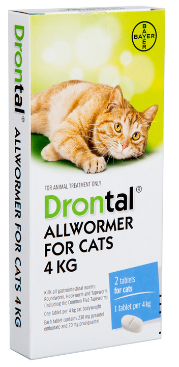 Drontal Allwormer for Cats