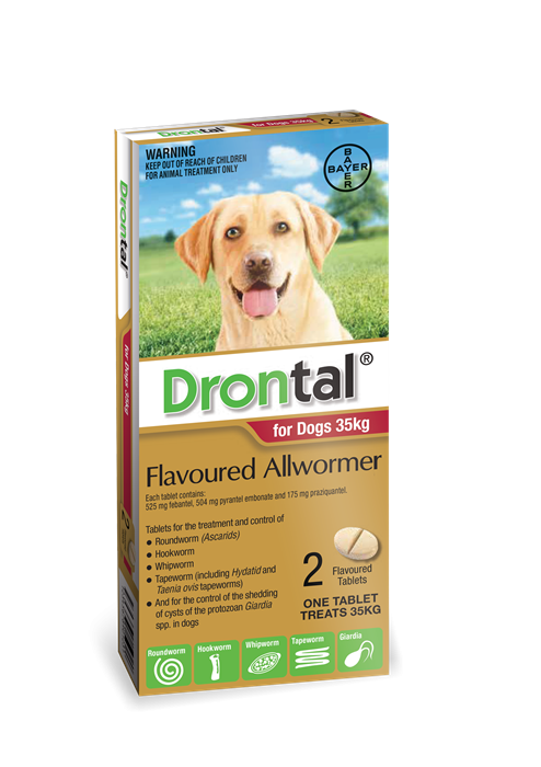 Drontal Allwormer for Dogs