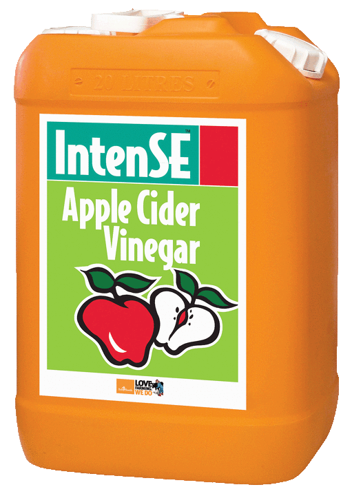IntenSE Apple Cider Vinegar