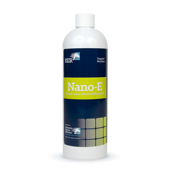 KER Nano E