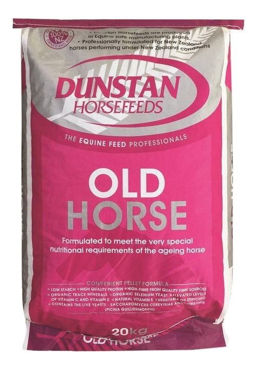 Dunstan Old Horse