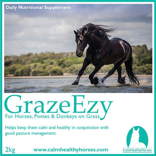 Calm Healthy Horses Graze Ezy