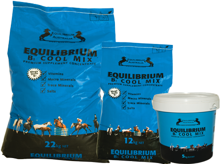 Equilibrium B1 Cool Mix