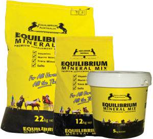 Equilibrium Mineral Mix