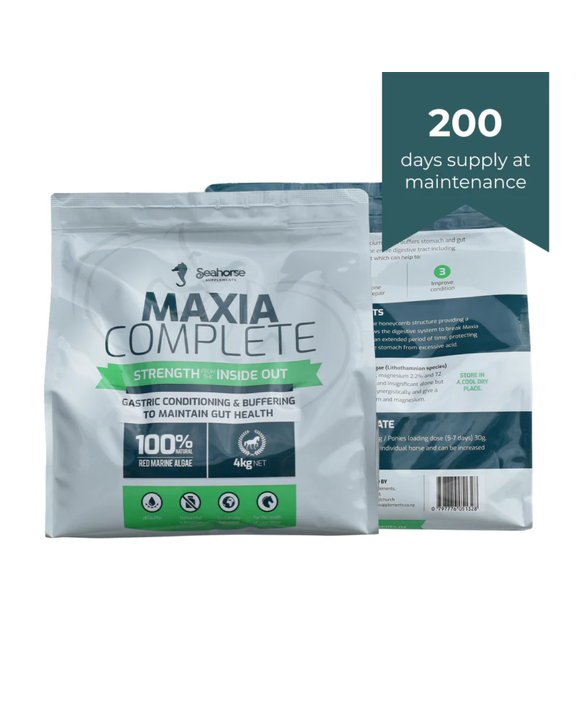 Seahorse Maxia Complete