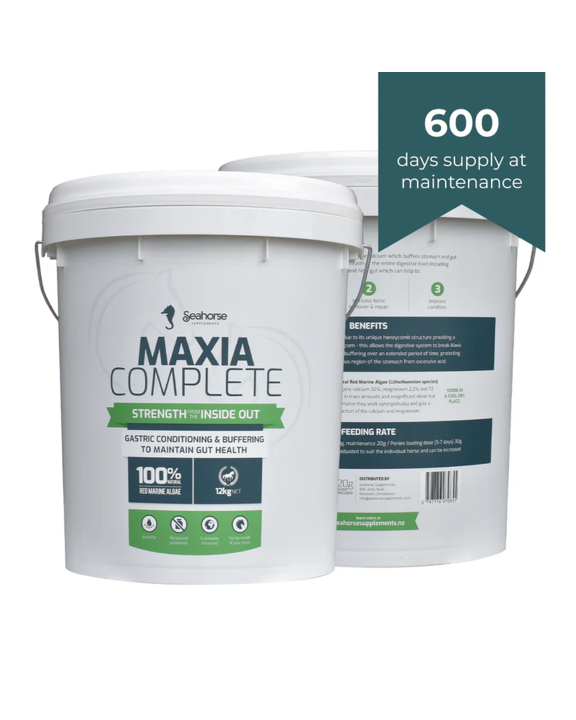 Seahorse Maxia Complete
