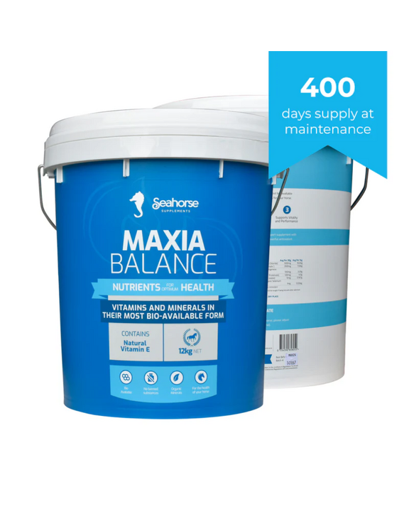 Seahorse Maxia Balance