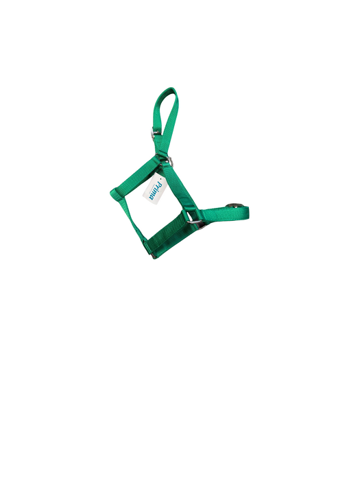 Prima Halters