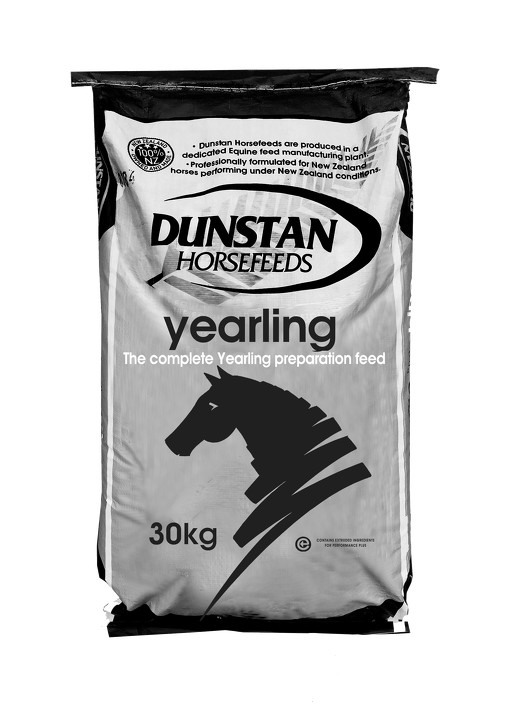 Dunstan Yearling