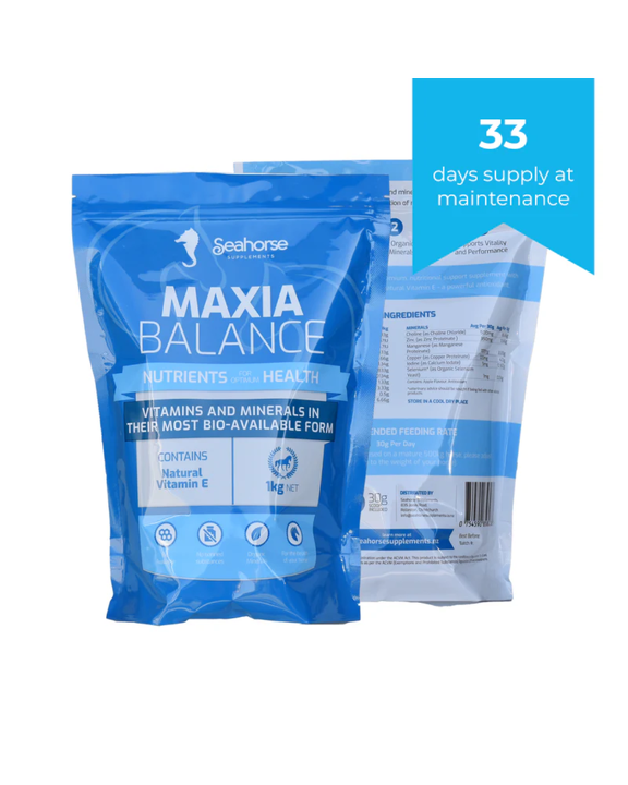 Seahorse Maxia Balance