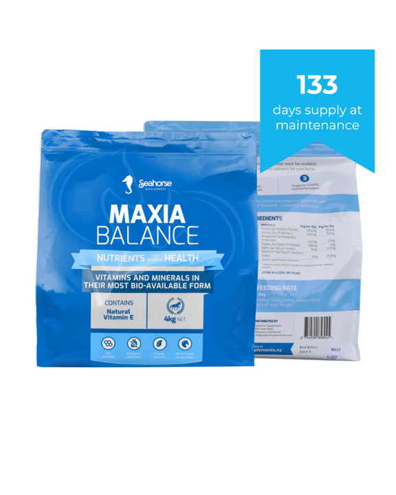 Seahorse Maxia Balance