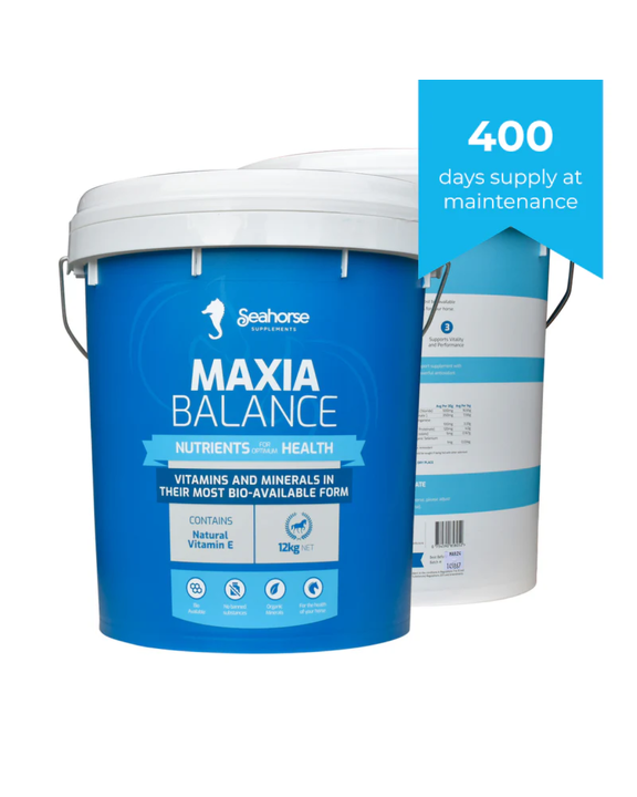 Seahorse Maxia Balance